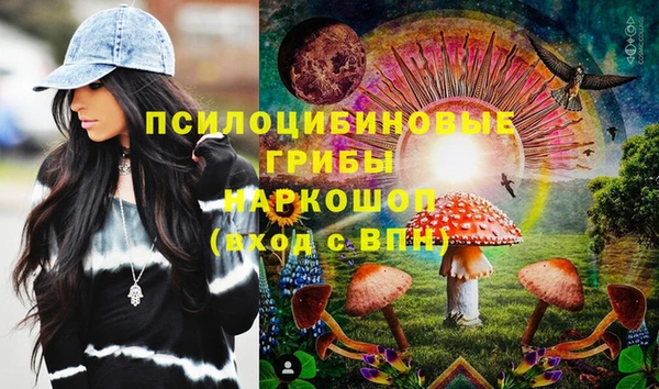 ешки Зеленодольск