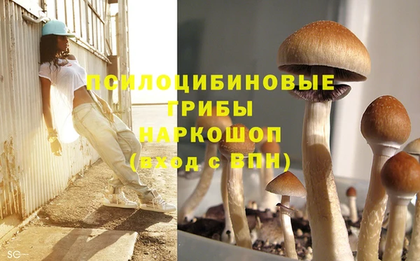 ешки Зеленодольск