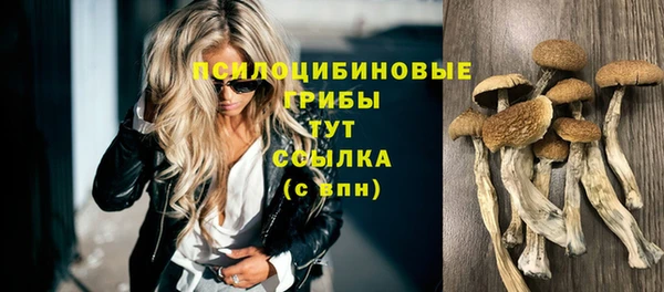 дмт Иннополис
